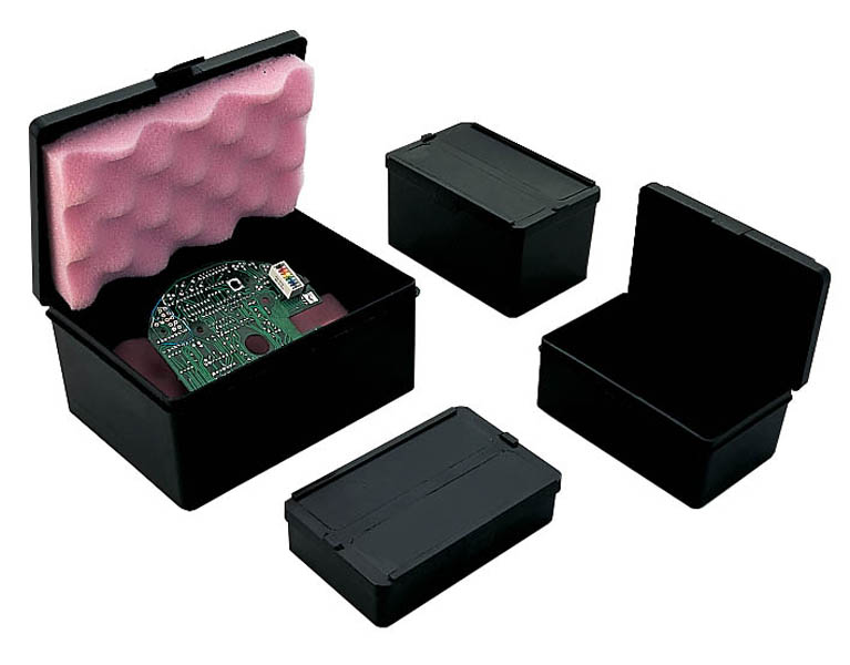 Box with store hinged lid
